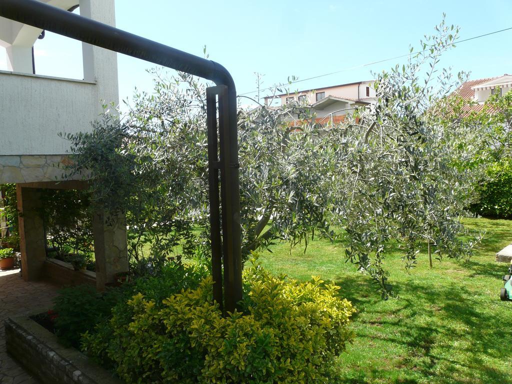 Apartments Mirela Porec Bagian luar foto